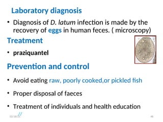 Laboratory diagnosis
• Diagnosis of D. latum infection is made by the
recovery of eggs in human feces. ( microscopy)
Treatment
• praziquantel
Prevention and control
• Avoid eating raw, poorly cooked,or pickled fish
• Proper disposal of faeces
• Treatment of individuals and health education
// 48
02/18/25
 