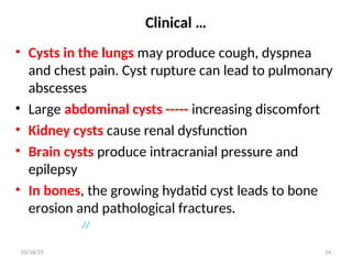 Clinical …
• Cysts in the lungs may produce cough, dyspnea
and chest pain. Cyst rupture can lead to pulmonary
abscesses
• Large abdominal cysts ----- increasing discomfort
• Kidney cysts cause renal dysfunction
• Brain cysts produce intracranial pressure and
epilepsy
• In bones, the growing hydatid cyst leads to bone
erosion and pathological fractures.
//
54
02/18/25
 