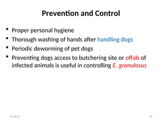 Prevention and Control
 Proper personal hygiene
 Thorough washing of hands after handling dogs
 Periodic deworming of pet dogs
 Preventing dogs access to butchering site or offals of
infected animals is useful in controlling E. granulosus
58
02/18/25
 