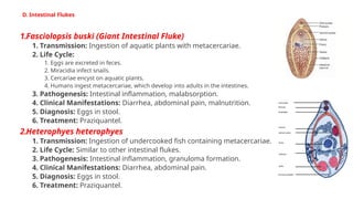 Trematode parasites of man[1]. A detailed lecturepptx | PPTX