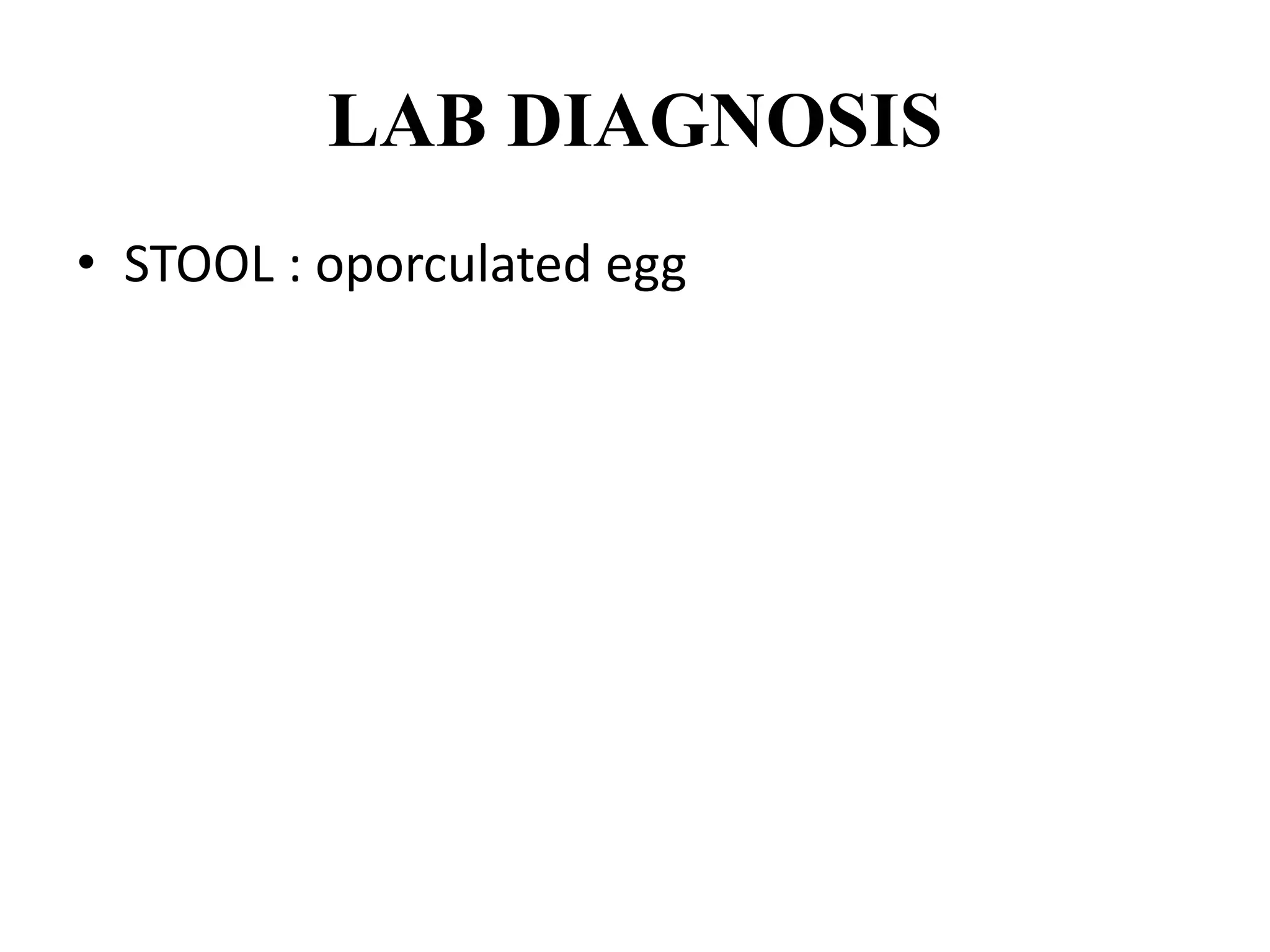 LAB DIAGNOSIS
• STOOL : oporculated egg
 