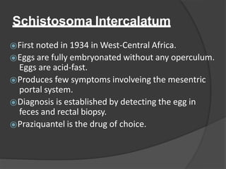 Schistosoma Intercalatum
⦿First noted in 1934 in West-Central Africa.
⦿Eggs are fully embryonated without any operculum.
Eggs are acid-fast.
⦿Produces few symptoms involveing the mesentric
portal system.
⦿Diagnosis is established by detecting the egg in
feces and rectal biopsy.
⦿Praziquantel is the drug of choice.
 