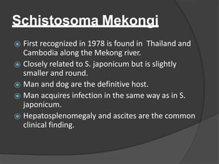 Schistosoma Mekongi
⦿ First recognized in 1978 is found in Thailand and
Cambodia along the Mekong river.
⦿ Closely related to S. japonicum but is slightly
smaller and round.
⦿ Man and dog are the definitive host.
⦿ Man acquires infection in the same way as in S.
japonicum.
⦿ Hepatosplenomegaly and ascites are the common
clinical finding.
 