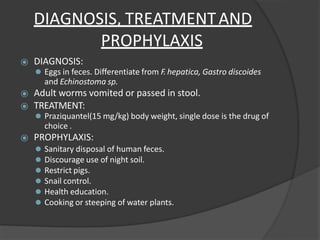 DIAGNOSIS, TREATMENTAND
PROPHYLAXIS
⦿ DIAGNOSIS:
⚫ Eggs in feces. Differentiate from F.hepatica, Gastro discoides
and Echinostoma sp.
⦿ Adult worms vomited or passed in stool.
⦿ TREATMENT:
⚫ Praziquantel(15 mg/kg) body weight, single dose is the drug of
choice .
⦿ PROPHYLAXIS:
⚫ Sanitary disposal of human feces.
⚫ Discourage use of night soil.
⚫ Restrict pigs.
⚫ Snail control.
⚫ Health education.
⚫ Cooking or steeping of water plants.
 