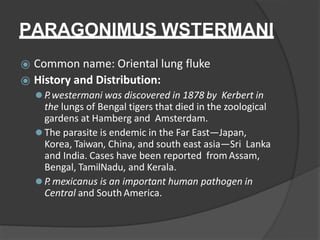 PARAGONIMUS WSTERMANI
⦿ Common name: Oriental lung fluke
⦿ History and Distribution:
⚫ P.westermani was discovered in 1878 by Kerbert in
the lungs of Bengal tigers that died in the zoological
gardens at Hamberg and Amsterdam.
⚫ The parasite is endemic in the Far East—Japan,
Korea, Taiwan, China, and south east asia—Sri Lanka
and India. Cases have been reported from Assam,
Bengal, TamilNadu, and Kerala.
⚫ P.mexicanus is an important human pathogen in
Central and South America.
 