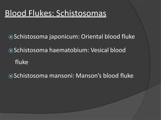Blood Flukes: Schistosomas
⦿Schistosoma japonicum: Oriental blood fluke
⦿Schistosoma haematobium: Vesical blood
fluke
⦿Schistosoma mansoni: Manson’s blood fluke
 