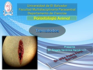 Parasitología Animal

 