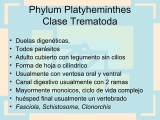 Phylum Platyheminthes
Clase Trematoda
• Duelas digenéticas,
• Todos parásitos
• Adulto cubierto con tegumento sin cilios
• Forma de hoja o cilíndrico
• Usualmente con ventosa oral y ventral
• Canal digestivo usualmente con 2 ramas
• Mayormente monoicos, ciclo de vida complejo
• huésped final usualmente un vertebrado
• Fasciola, Schistosoma, Clonorchis
 