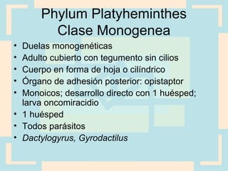Phylum Platyheminthes
Clase Monogenea
• Duelas monogenéticas
• Adulto cubierto con tegumento sin cilios
• Cuerpo en forma de hoja o cilíndrico
• Órgano de adhesión posterior: opistaptor
• Monoicos; desarrollo directo con 1 huésped;
larva oncomiracidio
• 1 huésped
• Todos parásitos
• Dactylogyrus, Gyrodactilus
 