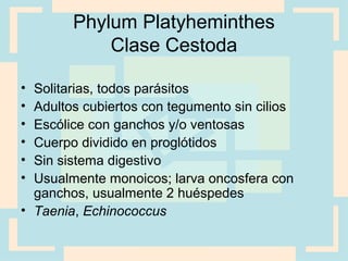 Phylum Platyheminthes
Clase Cestoda
• Solitarias, todos parásitos
• Adultos cubiertos con tegumento sin cilios
• Escólice con ganchos y/o ventosas
• Cuerpo dividido en proglótidos
• Sin sistema digestivo
• Usualmente monoicos; larva oncosfera con
ganchos, usualmente 2 huéspedes
• Taenia, Echinococcus
 