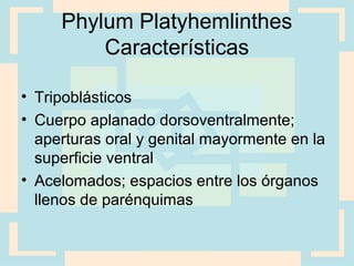Phylum Platyhemlinthes
Características
• Tripoblásticos
• Cuerpo aplanado dorsoventralmente;
aperturas oral y genital mayormente en la
superficie ventral
• Acelomados; espacios entre los órganos
llenos de parénquimas
 