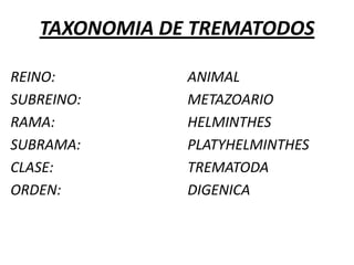 HUEVOSSalen generalmente con las heces u orina.Son monoperculadosDisponer de formaciones ganchudas