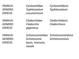TAXONOMIA DE TREMATODOSREINO:				ANIMALSUBREINO:				METAZOARIORAMA:				HELMINTHESSUBRAMA:				PLATYHELMINTHESCLASE:				TREMATODAORDEN:				DIGENICA