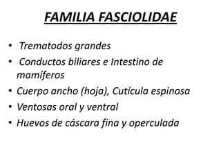 FAMILIAS:ENFERMEDADFAMILIA:		FasciolidaeFasciolidosisGENERO:		FasciolaFasciolosisESPECIE:		hepática, giganticaFAMILIA:		DicrocoellidaeDicrocoellidosisGENERO:		DicrocoelliumDicroceliosisESPECIE:		dentriticumFAMILIA:		ParamphistomidaeParamphistomidosisGENERO:		ParamphistomunParamphistomosisCotylophoron
