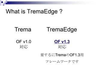 What is TremaEdge ?
Trema

TremaEdge

OF v1.0
対応

OF v1.3
対応
要するにTremaのOF1.3用
フレームワークです

 