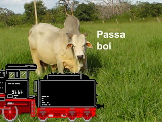 Passa
boi
 