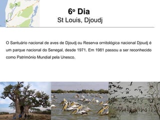 66oo
DiaDia
St Louis, Djoudj
O Santuário nacional de aves de Djoudj ou Reserva ornitológica nacional Djoudj é
um parque nacional do Senegal, desde 1971. Em 1981 passou a ser reconhecido
como Património Mundial pela Unesco.
 