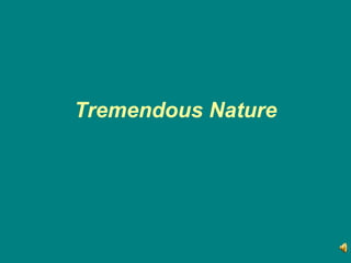 Tremendous Nature 