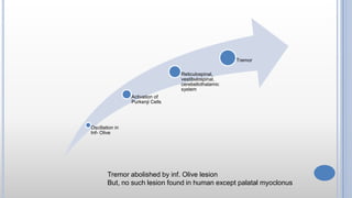 Oscillation in
Inf- Olive
Activation of
Purkenji Cells
Reticulospinal,
vestibulospinal,
cerebellothalamic
system
Tremor
Tremor abolished by inf. Olive lesion
But, no such lesion found in human except palatal myoclonus
 