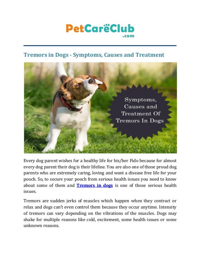 Tremors in dogs symptoms, causes & treatments