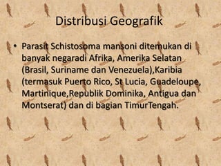 Distribusi Geografik
• Parasit Schistosoma mansoni ditemukan di
banyak negaradi Afrika, Amerika Selatan
(Brasil, Suriname dan Venezuela),Karibia
(termasuk Puerto Rico, St Lucia, Guadeloupe,
Martinique,Republik Dominika, Antigua dan
Montserat) dan di bagian TimurTengah.

 