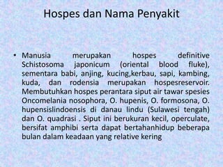 Hospes dan Nama Penyakit
• Manusia
merupakan
hospes
definitive
Schistosoma japonicum (oriental blood fluke),
sementara babi, anjing, kucing,kerbau, sapi, kambing,
kuda, dan rodensia merupakan hospesreservoir.
Membutuhkan hospes perantara siput air tawar spesies
Oncomelania nosophora, O. hupenis, O. formosona, O.
hupensislindoensis di danau lindu (Sulawesi tengah)
dan O. quadrasi . Siput ini berukuran kecil, operculate,
bersifat amphibi serta dapat bertahanhidup beberapa
bulan dalam keadaan yang relative kering

 