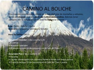 CAMINO AL BOLICHE
Una travesía incomparable, donde se puede disfrutar de montañas y volcanes,
como el Cotopaxi, que son parte del Callejón Interandino. Además tener
contacto con la naturaleza en el Área Recreacional Boliche.
Ruta: Quito - Boliche - Quito
Itinerario: De jueves a domingo y feriados
Hora de Salida: 08h15
Excursión Estándar | ida y vuelta $ 20
• Guianza
• Asientos Laterales
• El precio incluye $1 de consumo en el Café del Tren
Excursión Plus | ida y vuelta $ 25
• Guianza
• Coches climatizados con asientos frente a frente con mesa central
• El precio incluye $1 de consumo en el Café del Tren + snack
 
