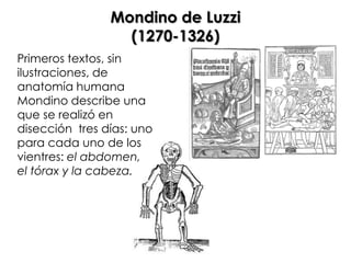 Mondino de Luzzi
                  (1270-1326)
Primeros textos, sin
ilustraciones, de
anatomía humana
Mondino describe una
que se realizó en
disección tres días: uno
para cada uno de los
vientres: el abdomen,
el tórax y la cabeza.
 