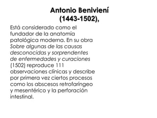 Antonio Beniviení
                 (1443-1502),
Está considerado como el
fundador de la anatomía
patológica moderna. En su obra
Sobre algunas de las causas
desconocidas y sorprendentes
de enfermedades y curaciones
(1502) reproduce 111
observaciones clínicas y describe
por primera vez ciertos procesos
como los abscesos retrofaríngeo
y mesentérico y la perforación
intestinal.
 