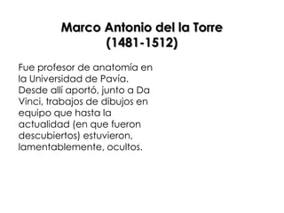 Marco Antonio del la Torre
               (1481-1512)
Fue profesor de anatomía en
la Universidad de Pavía.
Desde allí aportó, junto a Da
Vinci, trabajos de dibujos en
equipo que hasta la
actualidad (en que fueron
descubiertos) estuvieron,
lamentablemente, ocultos.
 