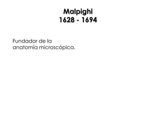 Malpighi
                1628 - 1694

Fundador de la
anatomía microscópica.
 