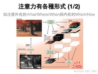注意力有各種形式 (1/2)
Itti & Koch, 2001, NRN
如注意外在的Ｗhat/Where/When與內在的Which/How
 