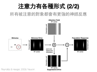 所有被注意的對象都會有更強的神經反應
注意力有各種形式 (2/2)
Reynolds & Heeger, 2009, Neuron
 
