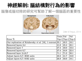 神經解剖: 腦結構對行為的影響
腦傷或腦切除的研究可幫助了解一個腦區的重要性
Zeiler & Fergus, 2014
 