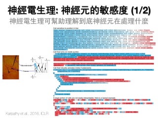 神經電生理: 神經元的敏感度 (1/2)
神經電生理可幫助理解到底神經元在處理什麼
Karpathy et al., 2016, ICLR
 