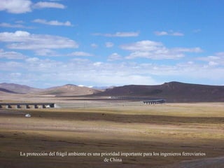 La protección del frágil ambiente es una prioridad importante para los ingenieros ferroviarios
de China
 