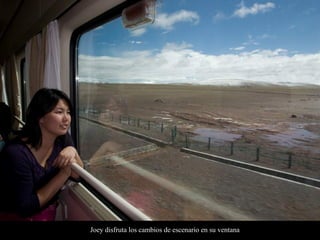 Joey disfruta los cambios de escenario en su ventana
 