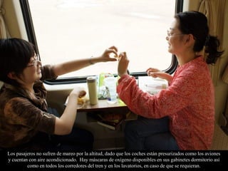 Los pasajeros no sufren de mareo por la altitud, dado que los coches están presurizados como los aviones
y cuentan con aire acondicionado. Hay máscaras de oxígeno disponibles en sus gabinetes dormitorio así
como en todos los corredores del tren y en los lavatorios, en caso de que se requieran.
 