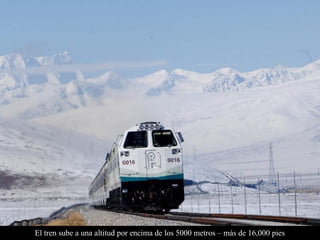 El tren sube a una altitud por encima de los 5000 metros – más de 16,000 pies
 