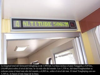 La longitud total del ferrocarril Qinghaig es de 1,956 km. La línea incluye el paso Tanggula, a 5,072m.,
(16,640 pies) sobre el nivel del mar, la vía más alta del mundo. Los 1,338 m., del túnel Fenghuoshan se
colocan como el túnel más alto del mundo, a 4,905 m., sobre el nivel del mar. El túnel Yangbajing con sus
3,345 m., lo hacen el más largo de la línea.
 