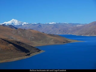 Belleza hechizante del azul LagoYamdrok
 