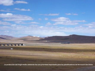 La protección del frágil medio ambiente fue una prioridad importante para los planificadores de ferrocarril de China
 