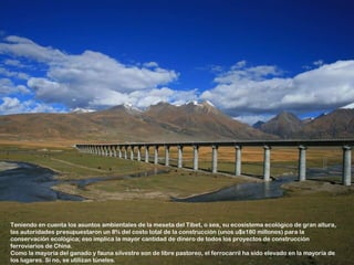 Teniendo en cuenta los asuntos ambientales de la meseta del Tíbet, o sea, su ecosistema ecológico de gran altura,
las autoridades presupuestaron un 8% del costo total de la construcción (unos u$s180 millones) para la
conservación ecológica; eso implica la mayor cantidad de dinero de todos los proyectos de construcción
ferroviarios de China.
Como la mayoría del ganado y fauna silvestre son de libre pastoreo, el ferrocarril ha sido elevado en la mayoría de
los lugares. Si no, se utilizan túneles.
 