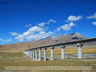 •Building




    La construcción de un puente sobre el permafrost. Esto tiene el menor impacto en la zona, pero es también el más
     caro. El puente Qingshuihe de 11,7 kilometros es el puente más largo del mundo construido sobre el permafrost
 