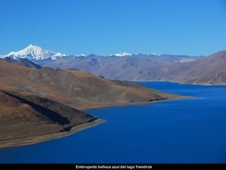 Embrujante belleza azul del lago Yamdrok
 