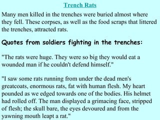 Trench Rats &quot;The rats were huge. They were so big they would eat a wounded man if he couldn't defend himself.&quot;  &quot;I saw some rats running from under the dead men's greatcoats, enormous rats, fat with human flesh. My heart pounded as we edged towards one of the bodies. His helmet had rolled off. The man displayed a grimacing face, stripped of flesh; the skull bare, the eyes devoured and from the yawning mouth leapt a rat.&quot;  Many men killed in the trenches were buried almost where they fell. These corpses, as well as the food scraps that littered the trenches, attracted rats.  Quotes from soldiers fighting in the trenches: 
