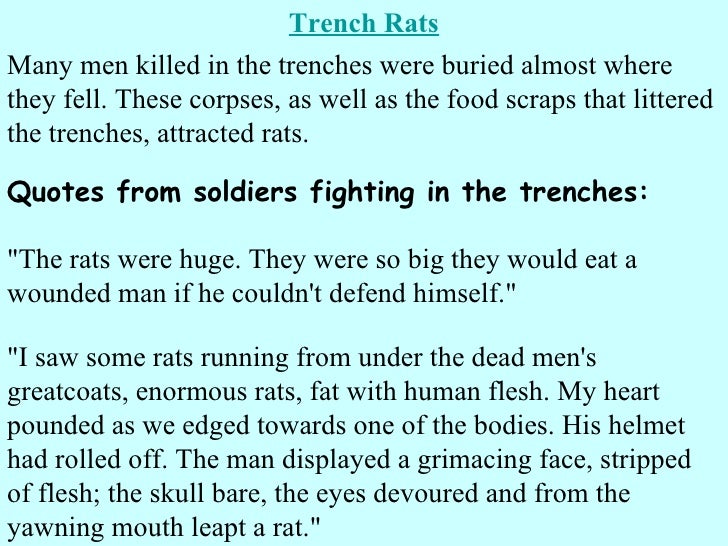 Trench Warfare 1 