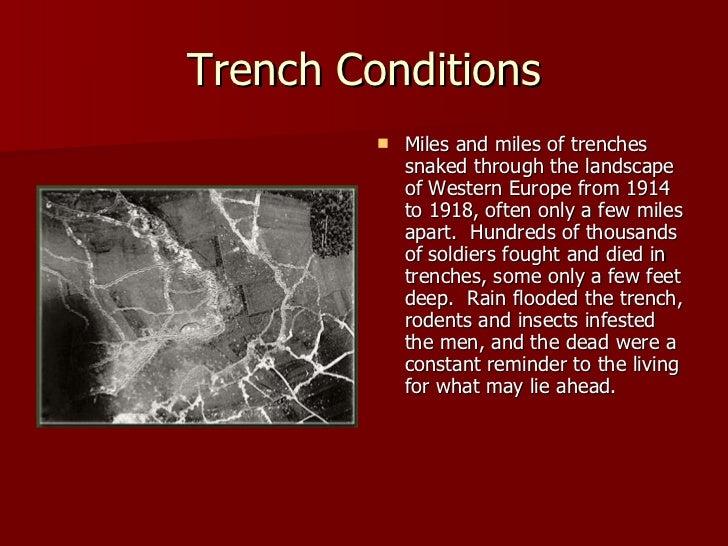 trench life and the condition of Life in the trenches animation 2 interactive trench explore the trench scene and click on different objects to find out more about them this content uses functionality that is not supported by your current browser consider upgrading your. trench life and the condition of Life in the trenches animation 2 interactive trench explore the trench scene and click on different objects to find out more about them this content uses functionality that is not supported by your current browser consider upgrading your.
