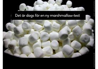 Det är dags för en ny marshmallow-test
 