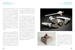 288 289
เจาะเทรนด์โลก 2015 โดย TCDC
Trend 04 : Supernatureal - ธรรมชาติเหนือจริง
แนวความคิด - มรดกจากบรรพกาล
ฝรั่งเศส ที่ส่วนใหญ่เป็นภาพสัตว์กว่า 100 ชนิด
13 สายพันธุ์ เช่น วัว ม้า แมมมอธ สิงโต เสือ หมี
ไฮยีน่า และภาพฝ่ามือมนุษย์ หรือถํ้าอัลตามิรา
(Altamira) ประเทศสเปน พบภาพเขียนวัวไบซัน
แมมมอธ กวางเรนเดียร์ ซึ่งสัตว์ทุกชนิดแสดง
การเคลื่อนไหวอย่างมีชีวิตชีวา และภาพเขียน
บนผนังถํ้าลาสโกส์ (Lascaux) ประเทศฝรั่งเศส
โดยภาพเขียนทั้งหมดต่างสะท้อนวิถีชีวิตที่เน้น
พึ่งพาธรรมชาติในช่วงยุคก่อนประวัติศาสตร์
อย่างยุคหิน และยุคโลหะได้เป็นอย่างดี มีการ
ผลิตอาวุธง่ายๆ สำ�หรับล่าสัตว์ มีการตั้งถิ่นฐาน
เป็นชุมชนเล็กๆ ก่อนจะพัฒนาเป็นสังคมเกษตร
ที่มีการตั้งถิ่นฐานชัดเจน รวมถึงการพัฒนา
เครื่องมือเครื่องใช้ให้แข็งแรงทนทานมากขึ้น
ตามลำ�ดับ
ความเปลี่ยนแปลงทางธรรมชาติที่เกิดขึ้นในช่วง
หลายปีนี้เป็นเหตุผลหนึ่งที่ทำ�ให้มนุษย์ตระหนัก
ว่าไม่สามารถควบคุมธรรมชาติได้ หนทางที่ดี
ที่สุดคือการเรียนรู้วิธีการอยู่ร่วมกับธรรมชาติ
มีนักออกแบบหลายคนพยายามถอดรหัสเพื่อ
เข้าใจวิถีการอยู่ร่วมกันโดยมีตัวอย่างสำ�คัญคือ
มนุษย์ยุคก่อนประวัติศาสตร์ที่ต่างพึ่งพาและไม่
รุกลํ้าธรรมชาติ เทคโนโลยีและนวัตกรรมถูกใช้
เป็นเครื่องมือสำ�คัญในการหาคำ�ตอบจากวัตถุ
โบราณ ไม่ว่าจะเป็นขั้นตอนการศึกษาทำ�ความ
เข้าใจ ขั้นตอนการคัดสรรวัสดุตามอย่างยุคเก่า
ไม่ว่าจะเป็นหนังสัตว์ หินไฟ เนื้อดิน กระดูกสัตว์
และผลิตวัสดุบางชนิดขึ้นใหม่ด้วยการเลียนแบบ
ของเดิมโดยนวัตกรรมสมัยใหม่จากฝีมือมนุษย์
จากงาน Budapest Design Week นักออกแบบ
Ami Drach และ Dov Ganchrow จากสตูดิโอ
Tel Aviv ร่วมฟื้นคืนจิตวิญญาณของเครื่องมือและ
อุปกรณ์ในยุคโบราณผ่านบริบทที่ทันสมัย ในชื่อ
BC-ADProject โดยพยายามเรียนรู้วิธีการ รวมถึง
แรงผลักดันในวิวัฒนาการและการปรับเปลี่ยน
เครื่องมือผ่านยุคสมัย ซึ่งผลจากการสำ�รวจและ
ทดลองเครื่องมือจากหินและหินไฟที่ช่วยในการ
ตัดเลื่อยตำ�ในอดีตกาลนั้น พบว่านอกจากจะช่วย
อำ�นวยความสะดวกแล้ว ยังทำ�ให้มนุษย์อยู่รอด
มานานกว่าล้านปี โดยวิธีการผลิตของโปรเจกต์นี้
ใช้เทคนิคการพิมพ์แบบสามมิติ ส่วนพื้นผิวที่มี
ลักษณะขรุขระแบบผิวหินนั้นสแกนและออกแบบ
ด้วยคอมพิวเตอร์ รวมถึงด้ามจับที่ออกแบบมาเป็น
พิเศษ เครื่องมือนี้จึงเป็นการผสมผสานระหว่าง
อุปกรณ์โบราณและการออกแบบยุคดิจิทัล ซึ่ง
นับเป็นจุดตัดระหว่างยุคที่ลงตัว
เจาะเทรนด์โลก 2015 โดย TCDC
Trend 04 : Supernatureal - ธรรมชาติเหนือจริง
แนวความคิด - มรดกจากบรรพกาล
เช่นเดียวกับการกลับไปใช้ชีวิตอยู่บนพื้นฐานกับ
วัฒนธรรมดั้งเดิมอีกครั้ง Triangulum Fire Pit
แคมป์ไฟแบบถาวร โดย Brandon Gore เป็นการ
ออกแบบเพื่อแสดงให้เห็นถึงการรวมกลุ่ม
การล้อมวง ชิ้นงานจึงมีลักษณะแบบสามเหลี่ยม
เพื่อกระตุ้นให้ผู้ใช้เกิดการพูดคุย แลกเปลี่ยน
เรื่องราว สร้างบรรยากาศไม่ต่างจากชุมชนเล็กๆ
ในยุคอดีต
BC-AD Project
Triangulum Fire Pit
 